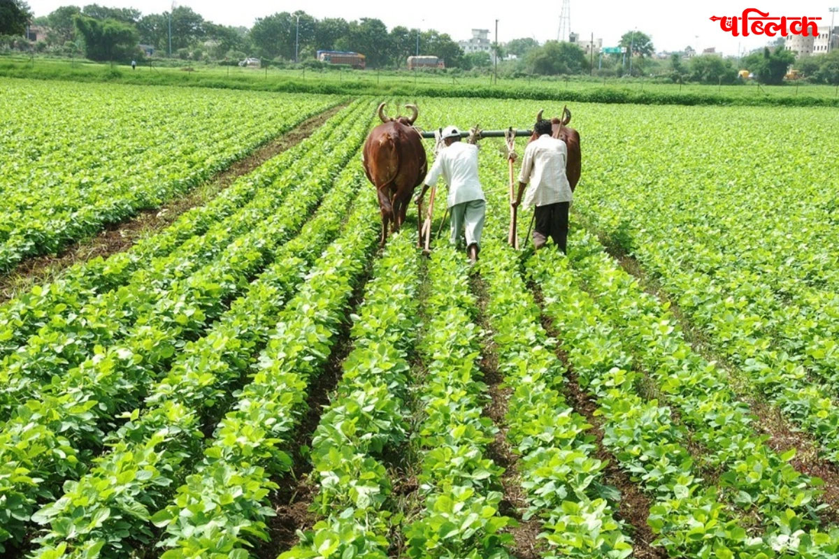 Chhattisgarh Kisan Yojana Registration
