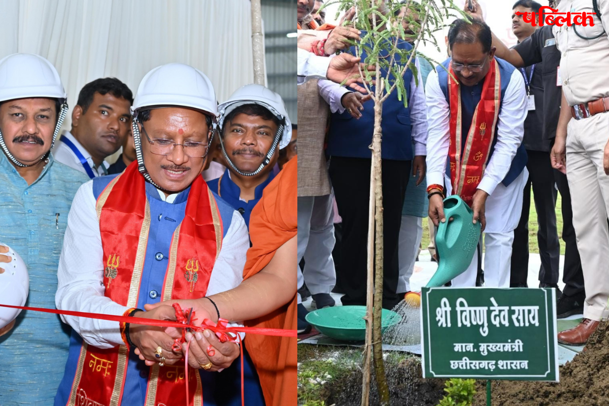 ayurvedic processing unit
