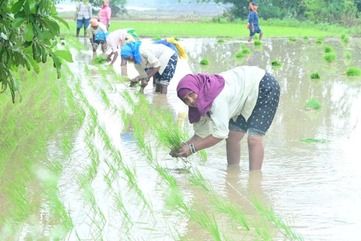 Vishnudev Sai farmer schemes 2025