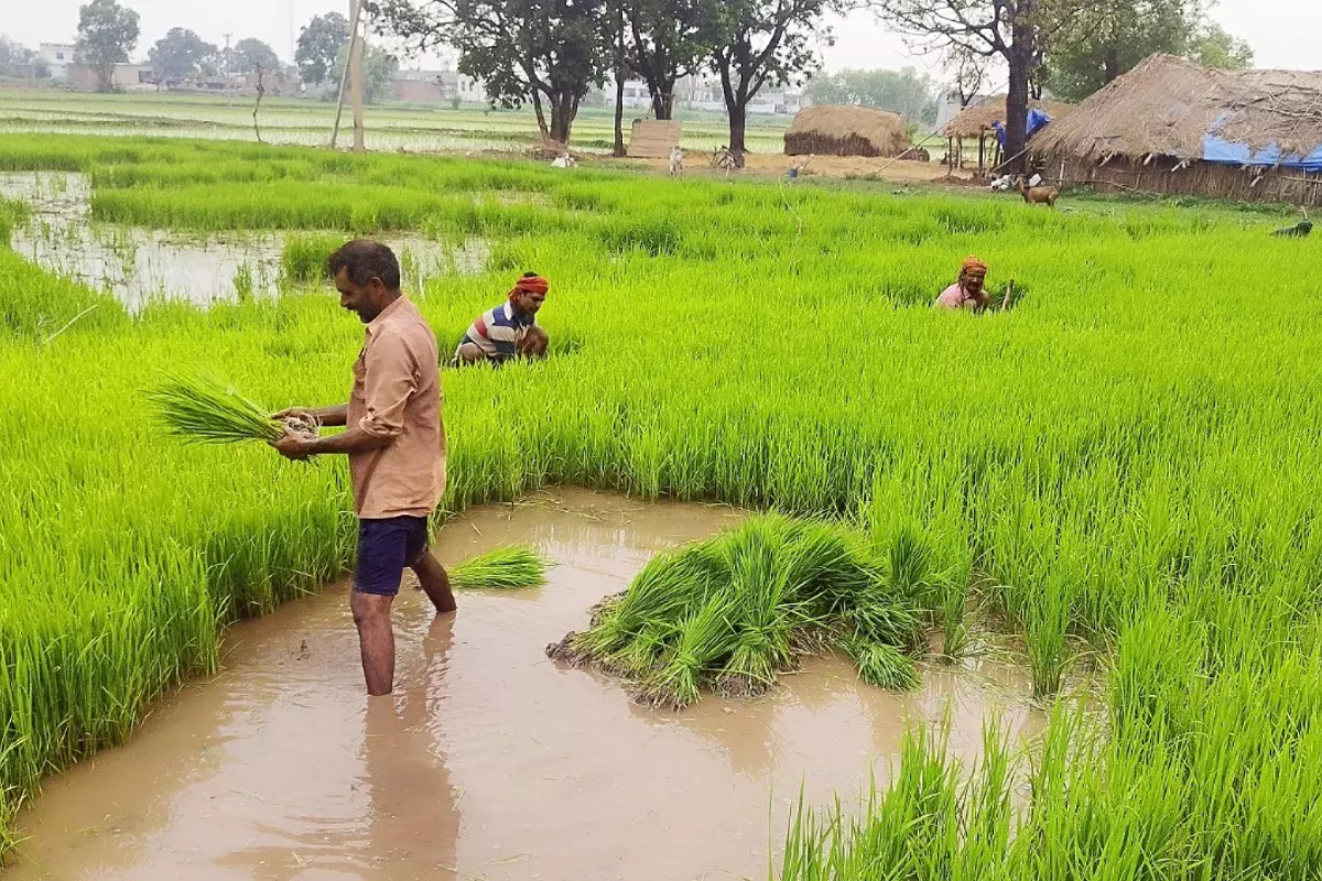 Chhattisgarh Kisan loan distribution 2025