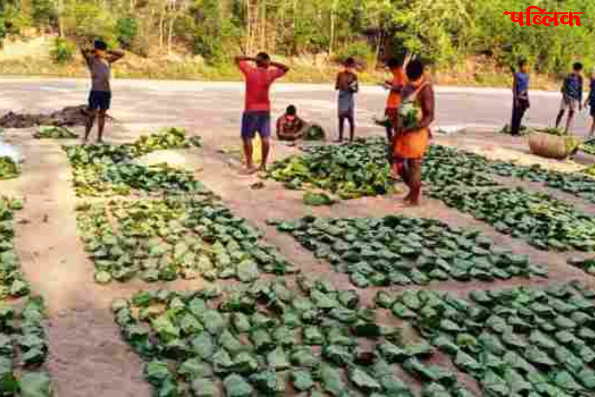Vishnu Deo Sai tendupatta wage hike