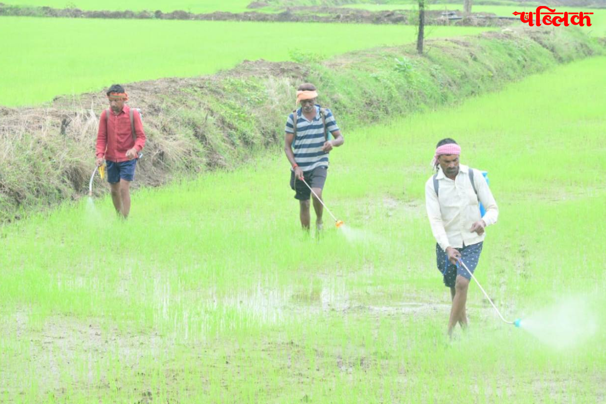 Rajnandgaon agriculture news