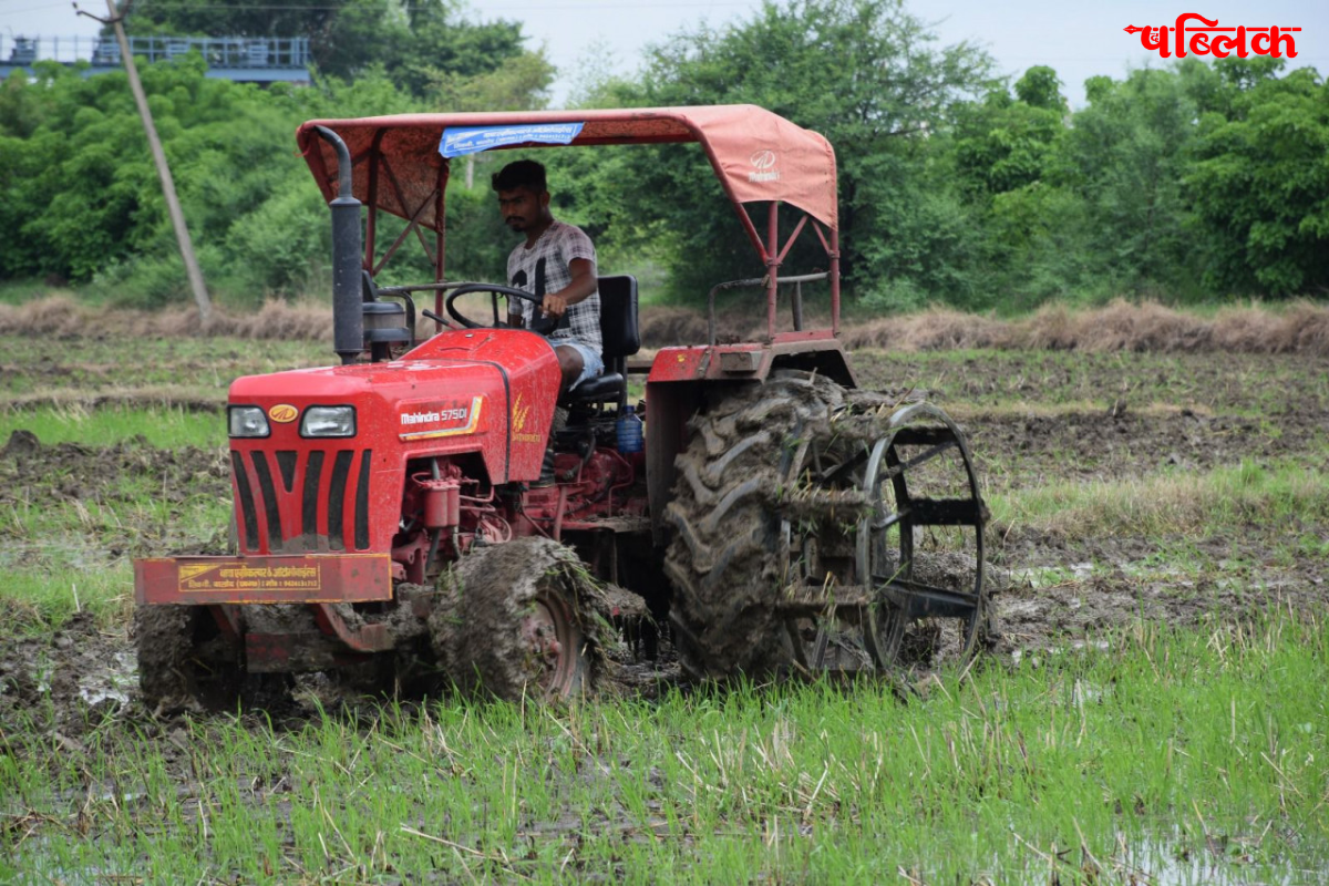 Dhamtari agriculture growth 2025