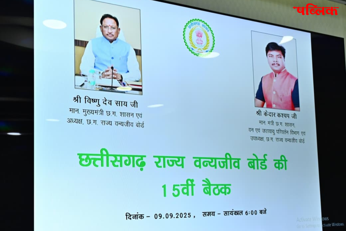 Chhattisgarh tiger population 2025