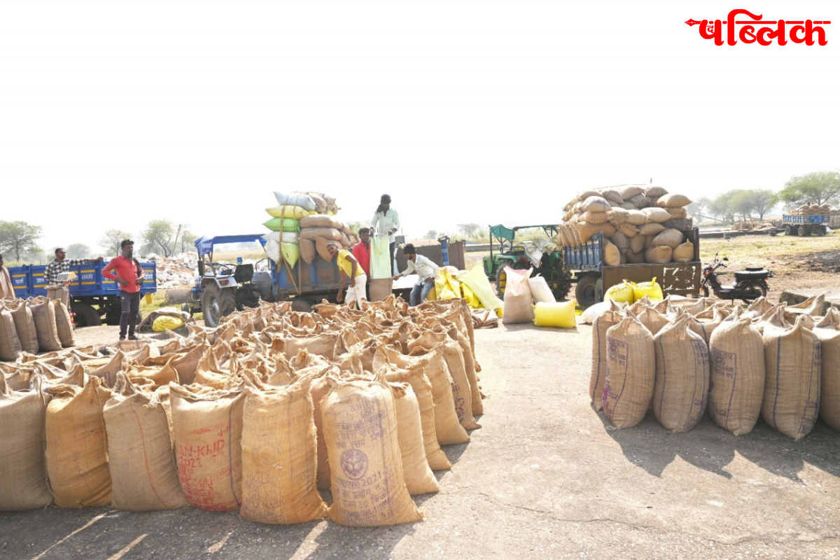 Kabirdham paddy procurement