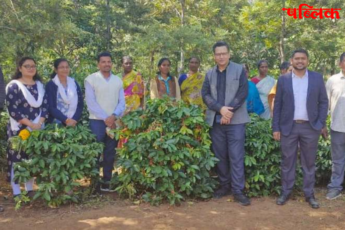 Coffee plantation Bastar