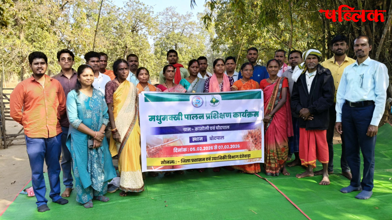 Dantewada beekeeping project