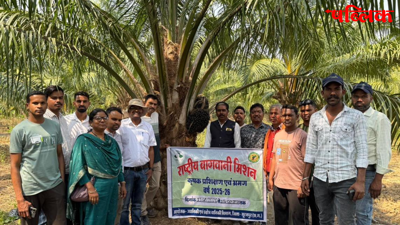 Oil palm farming in Chhattisgarh
