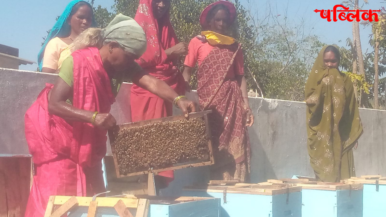 Jashpur beekeeping training