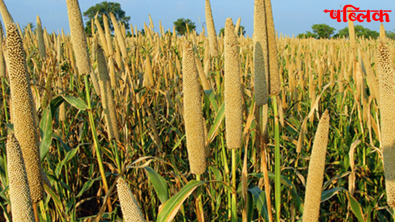 Kharif season 2026 seeds