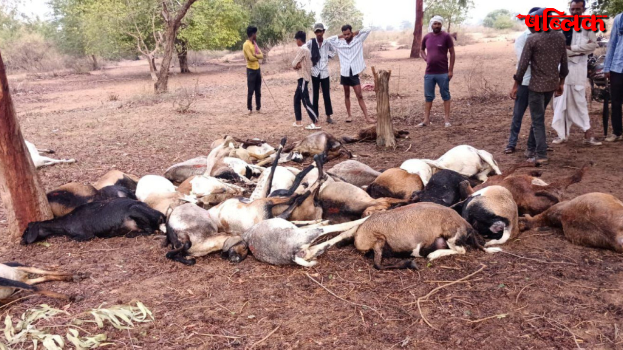 Lightning Death of Animals