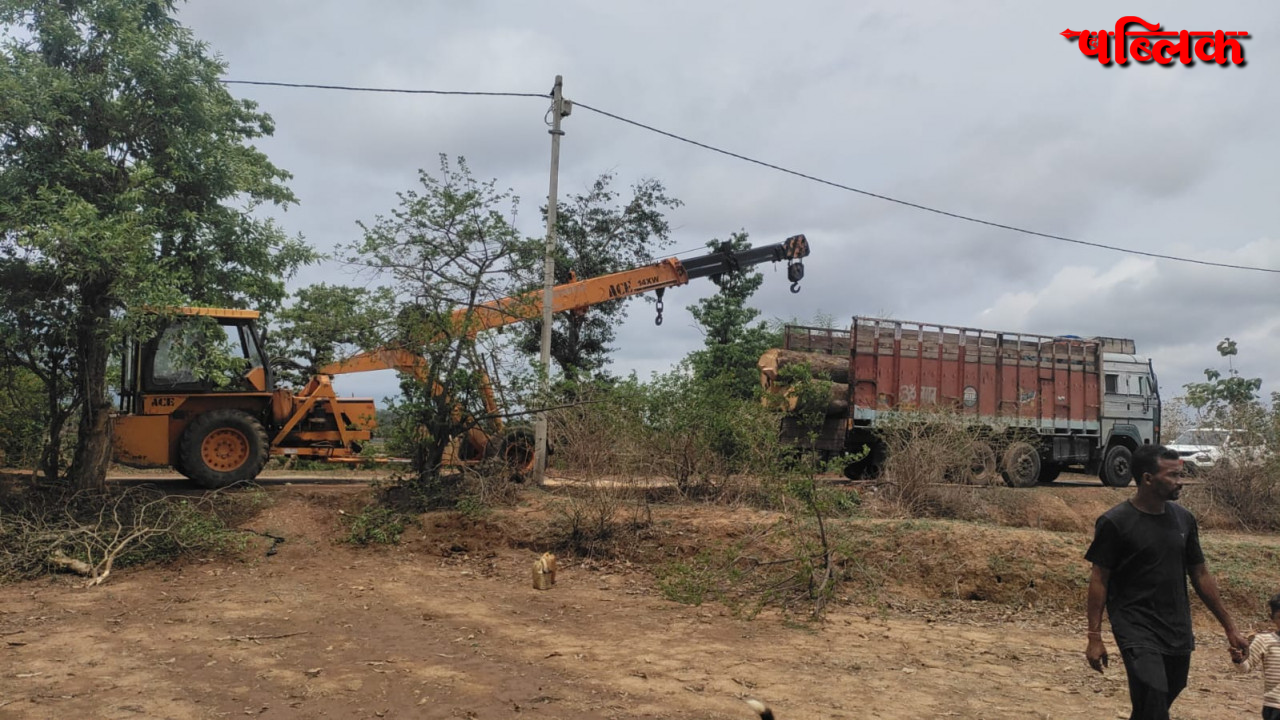 Illegal Tree Cutting