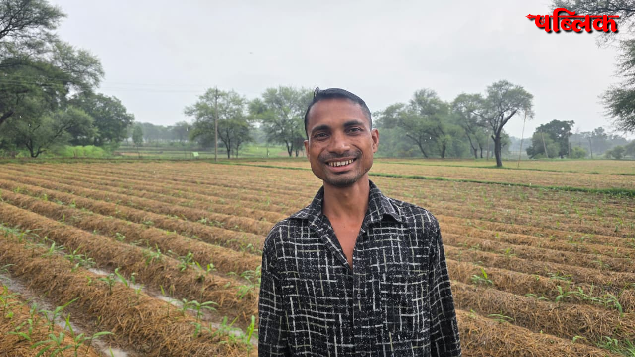 Ginger Farming Profit